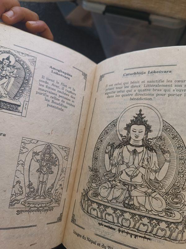 Images du Nepal et du Tibet (French Language) by Suyog Prajapati - Vajracrafts