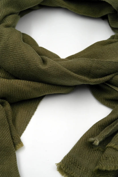 Olive Green color Pure Pashmina Shawl - Vajracrafts